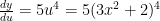 \frac{dy}{du} = 5u^4 = 5(3x^2 + 2)^4